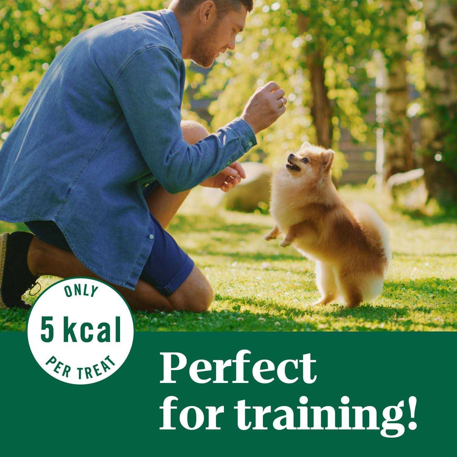 Nutro Crunchy Dog Treats with Real - Image 5