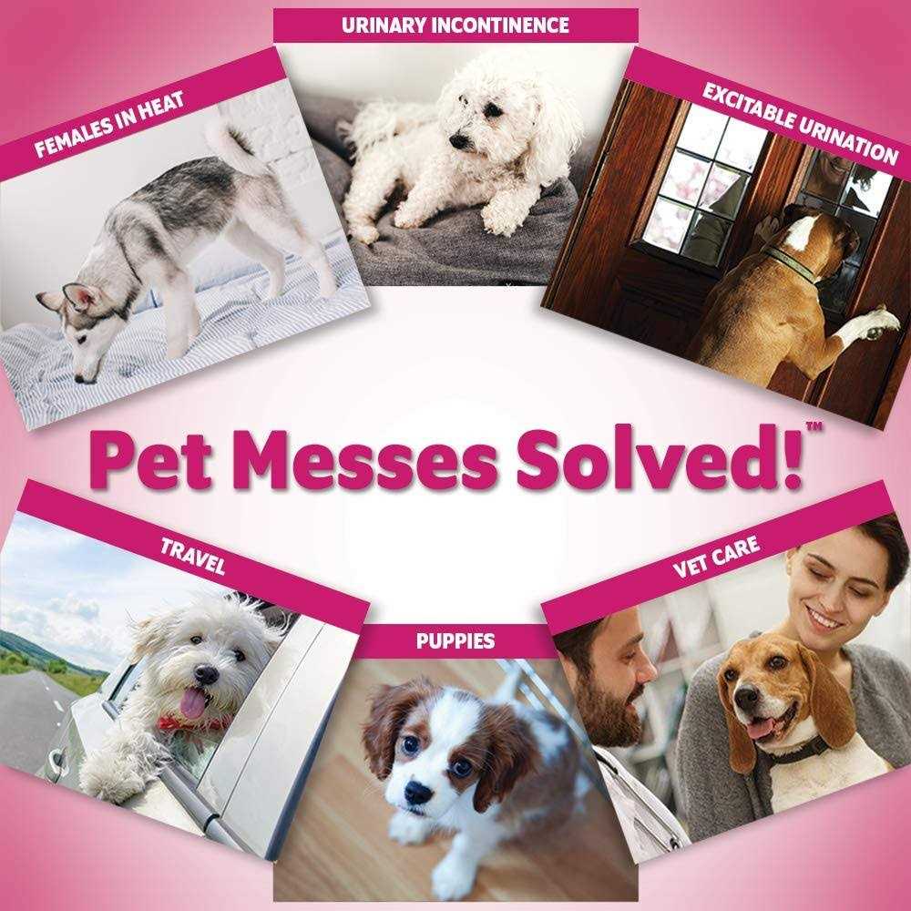 Out! Disposable Female Dog Diapers - Image 5