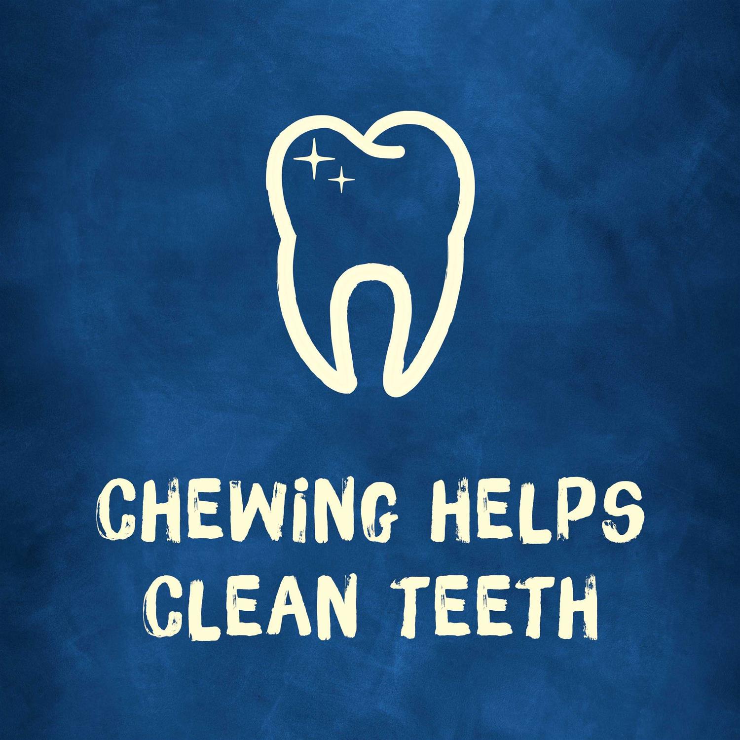 Purina Busy Bone Original Dog - Image 5