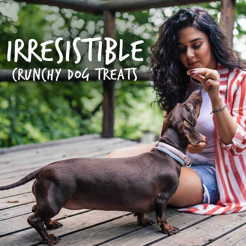 Fruitables Dog Treats Pumpkin - Image 3