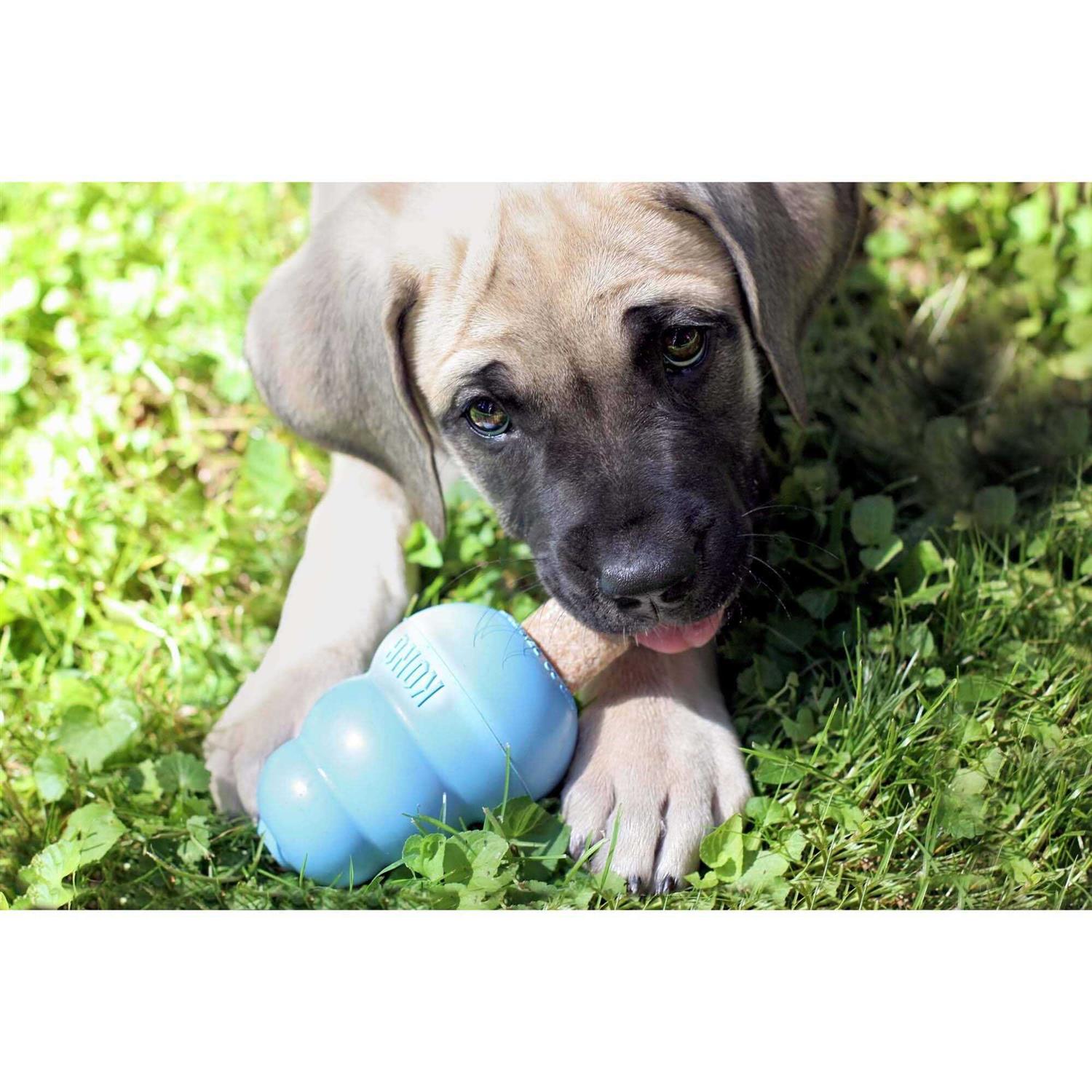 KONG Ziggies - Image 3