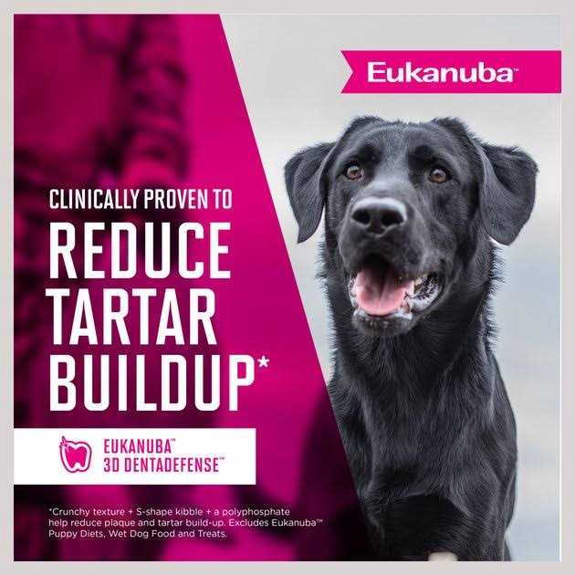 Eukanuba Breed Senior Dry Dog Food - Image 5