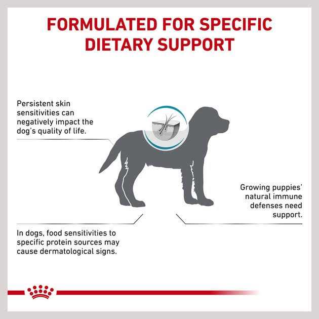 Royal Canin Hydrolyzed Protein Puppy Dry Dog Food Bag - Image 5