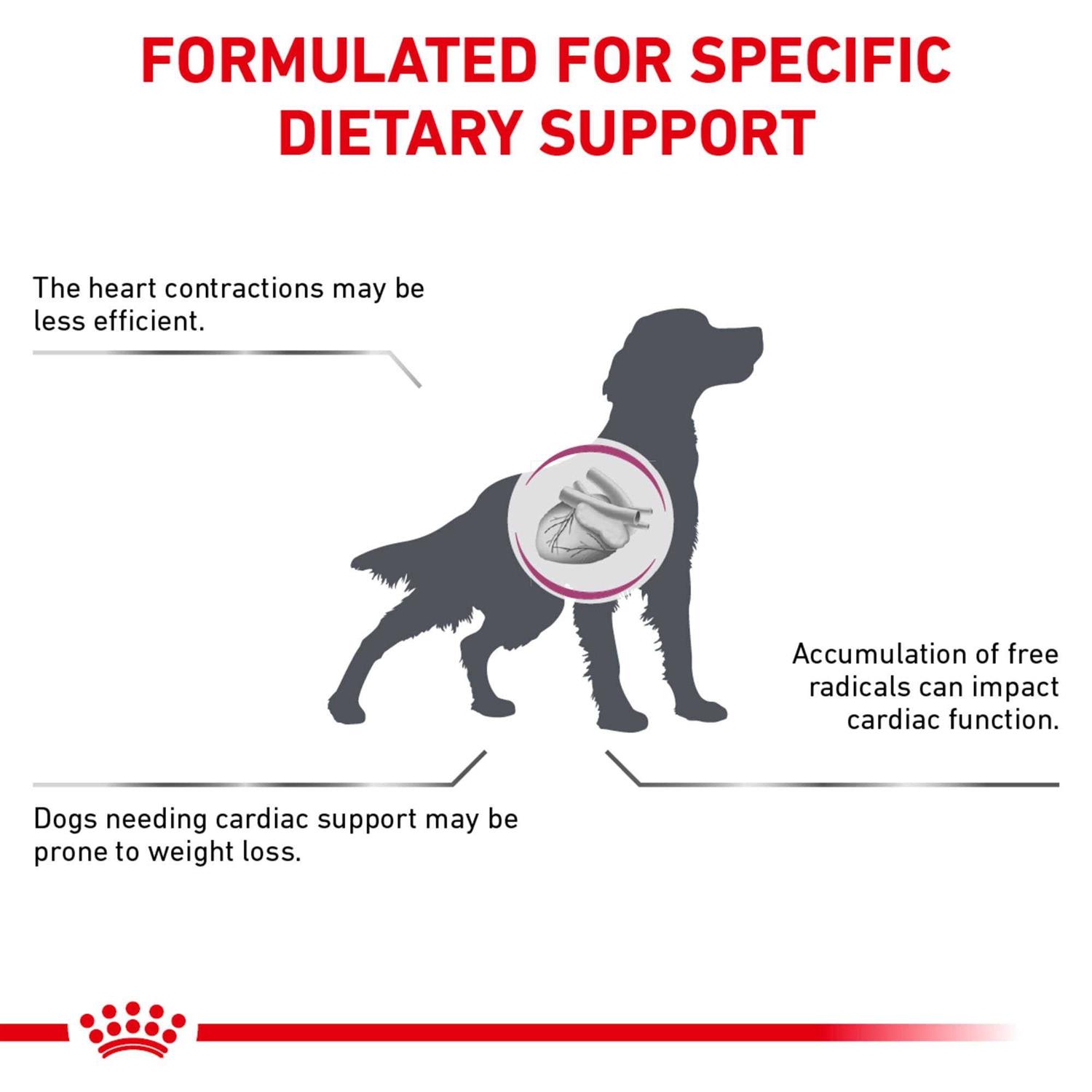 Royal Canin Veterinary Diet Early Cardiac Dry Dog Food - Image 4