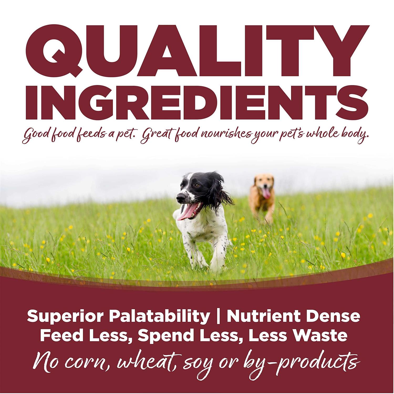 NutriSource Beef Rice Dry Dog Food - Image 4