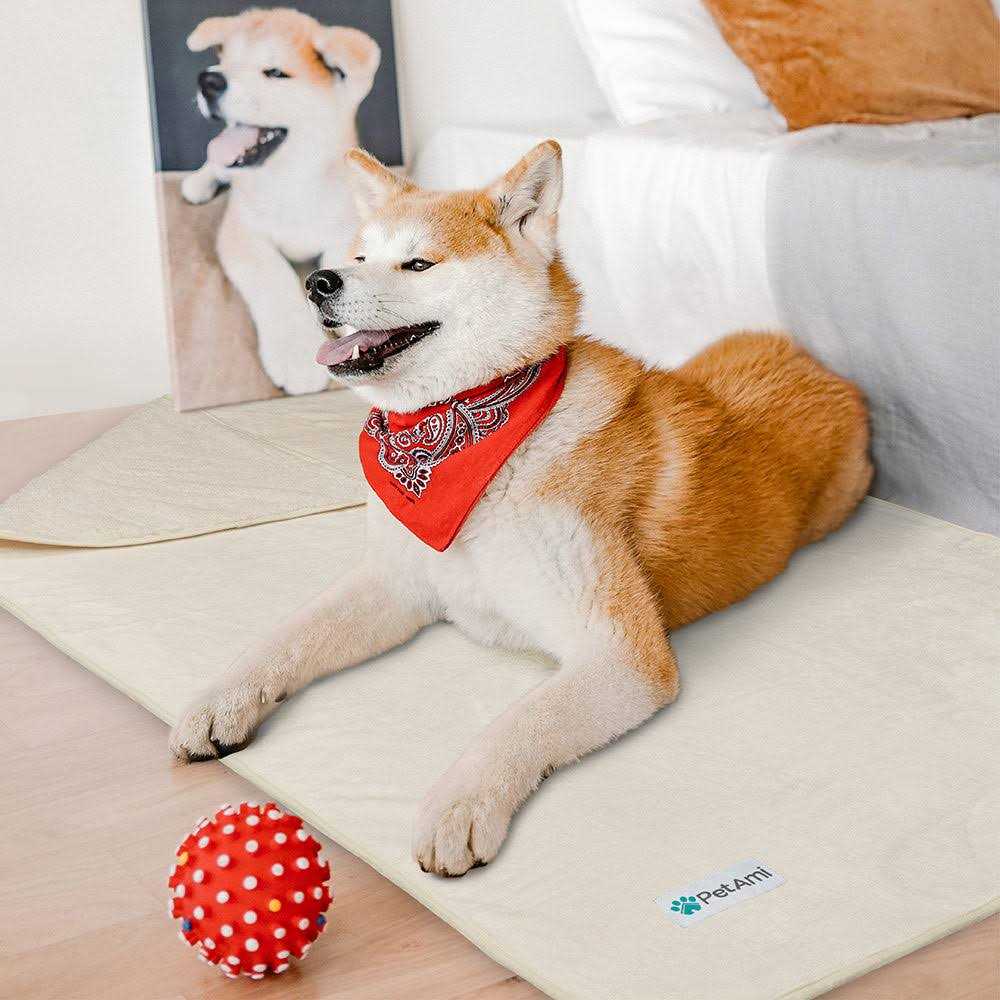 PetAmi Waterproof Dog Blanket Sherpa Fleece Waterproof Pet Blanket For Medium Large Dogs - Image 5