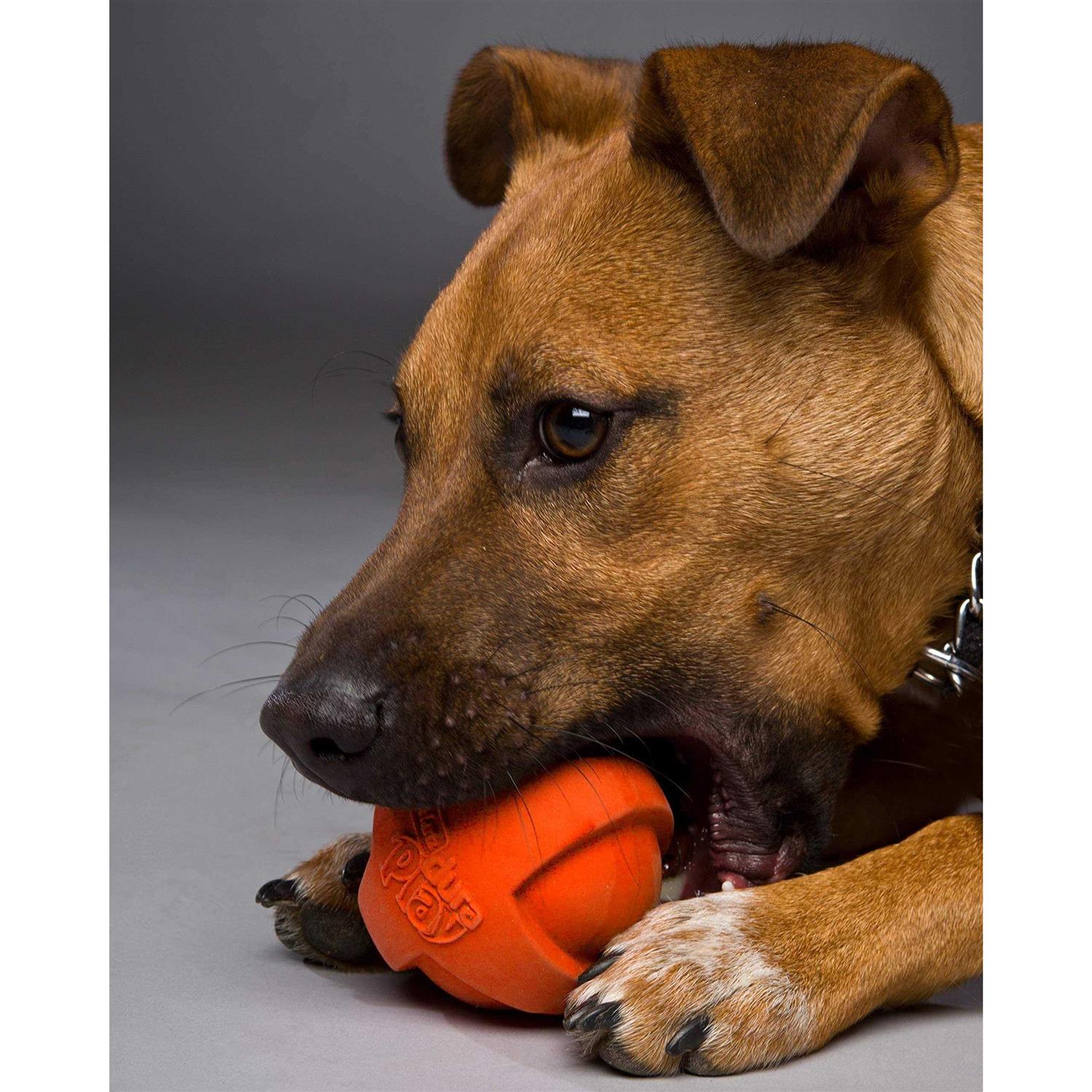 Hartz Dura Play Ball Dog Toy - Image 4