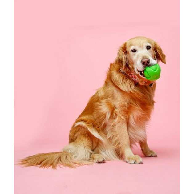 Hartz Dura Play Ball Dog Toy - Image 4
