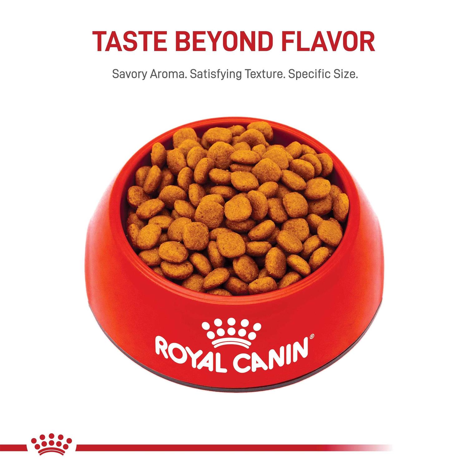 Royal Canin Adult Cavalier King Charles Dry Dog Food - Image 5