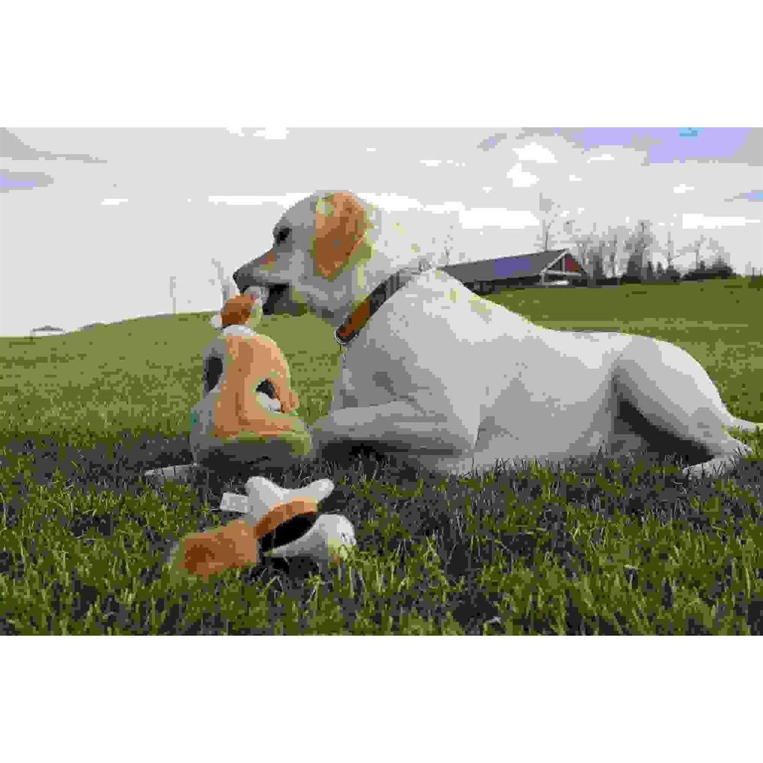 Outward Hound Hide A Squirrel Dog Toy - Image 4