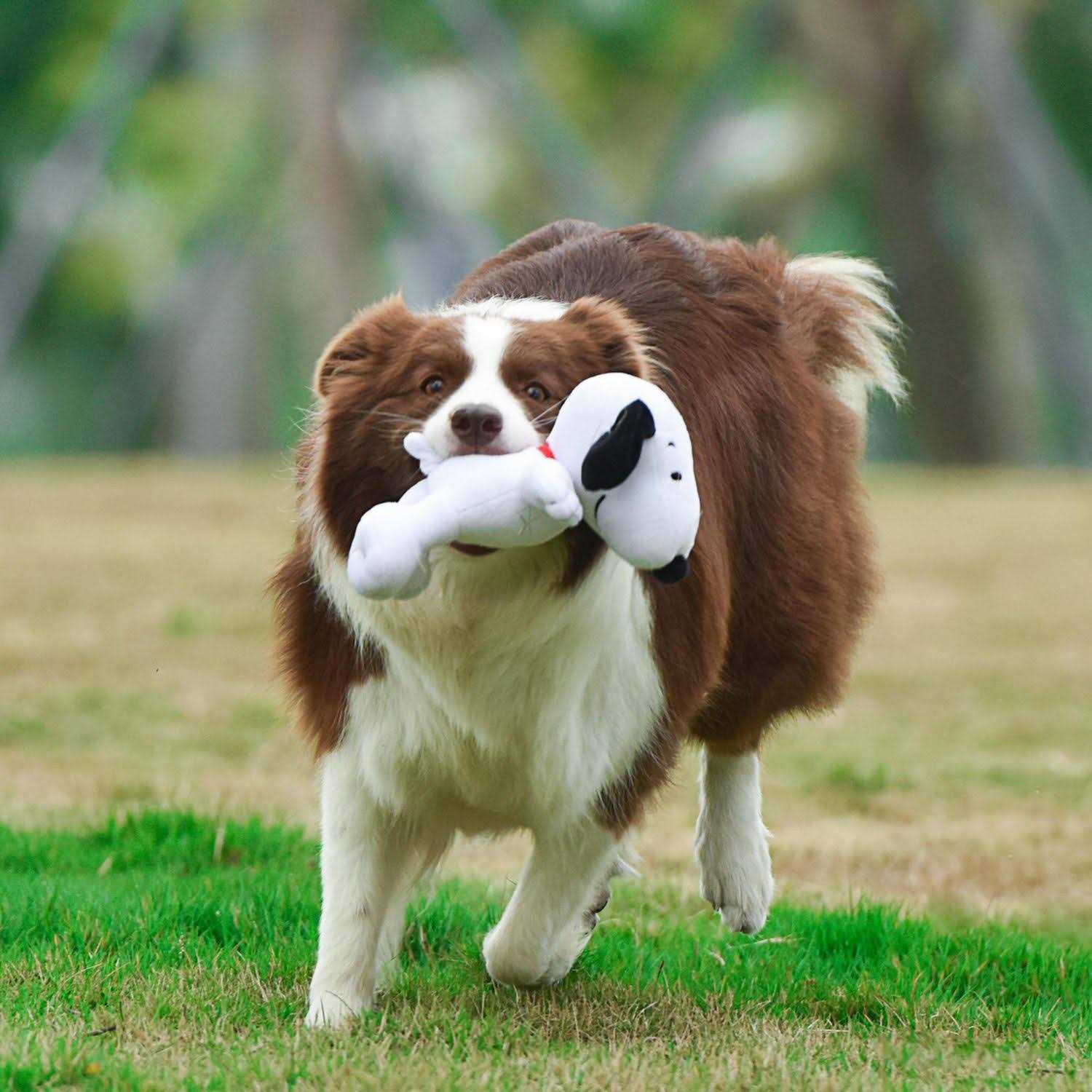 Peanuts for Pets Snoopy Figure Classic Plush Squeaker Dog Toy 9 Inch Medium White Plush Dog Toy for All Dogs - Image 4