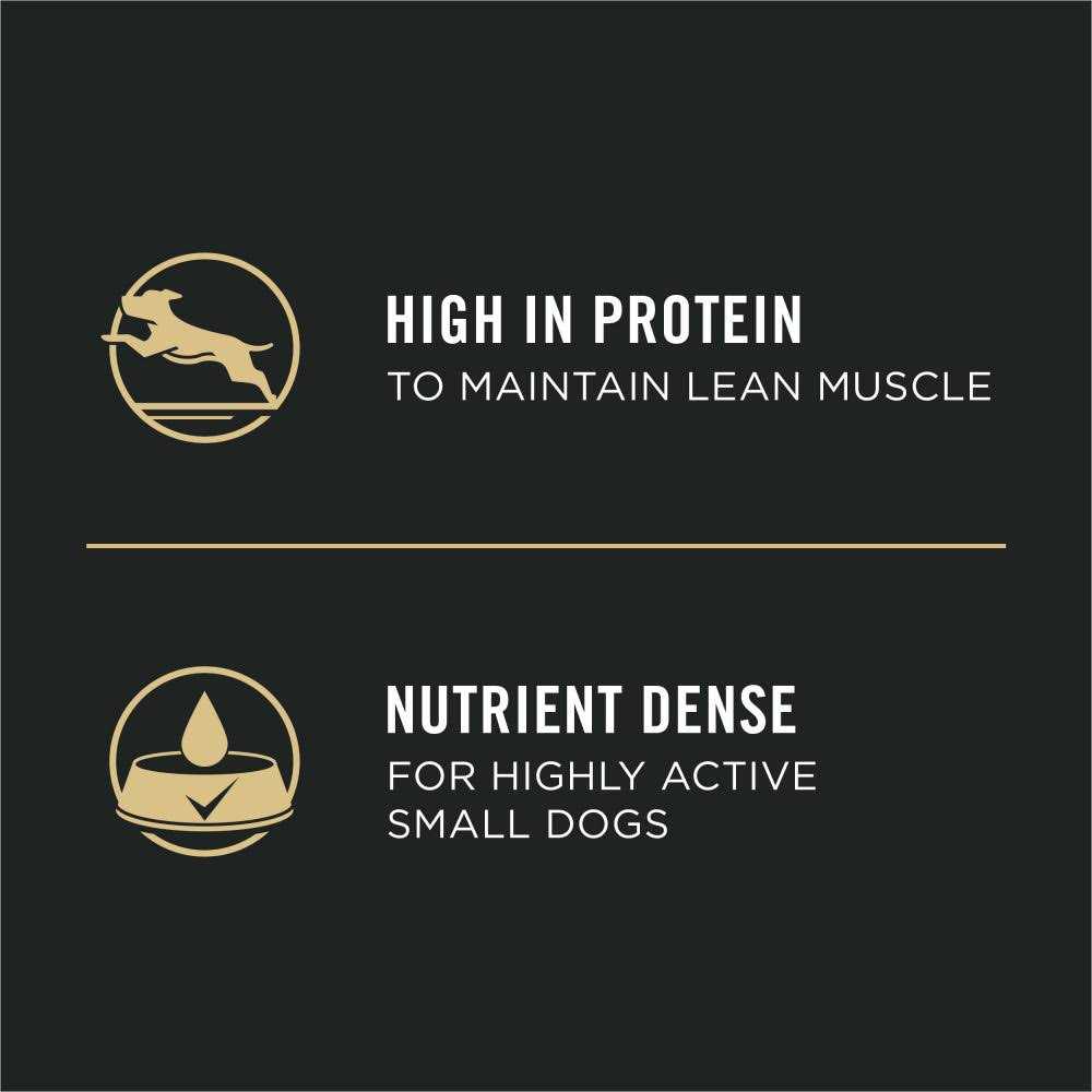 Purina Pro Plan Focus Small Breed Entree Adult Wet Dog Food - Image 4