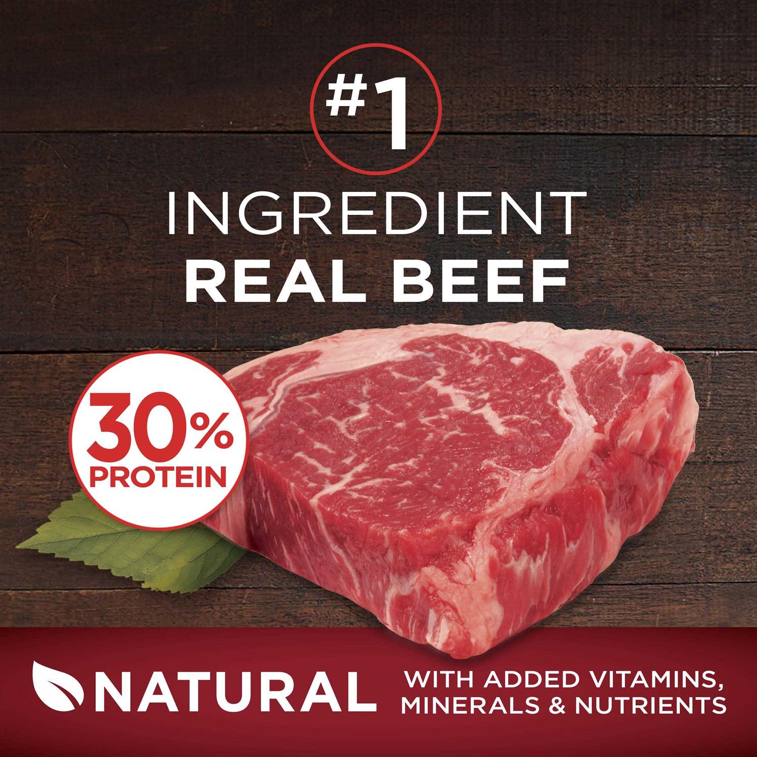 Purina ONE Grain Free Natural Dry Dog Food - Image 2