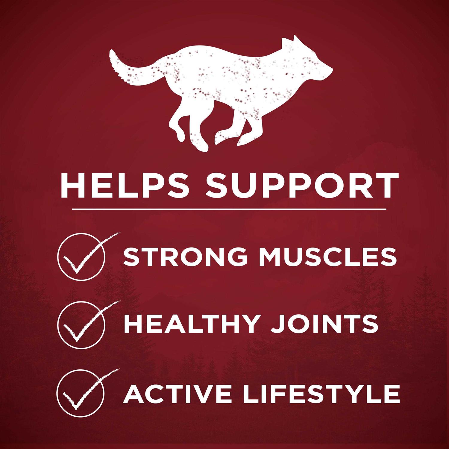 Purina ONE Grain Free Natural Dry Dog Food - Image 5