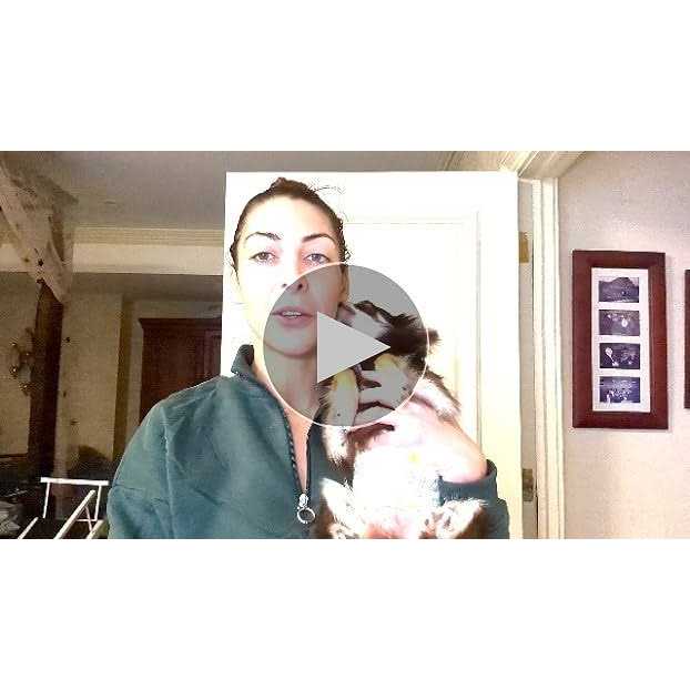 Honey Care All-Absorb A27 Male Dog Wrap - Image 5