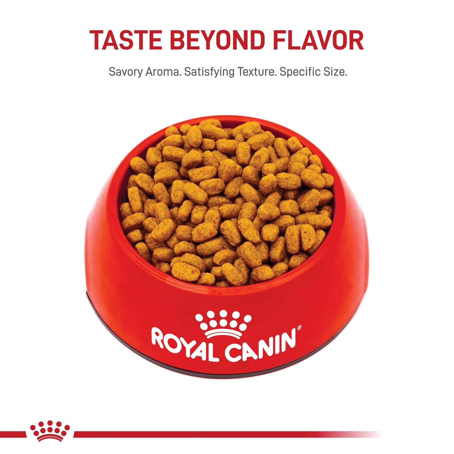 Royal Canin Breed Health Nutrition Adult Maltese Dry Dog Food - Image 3