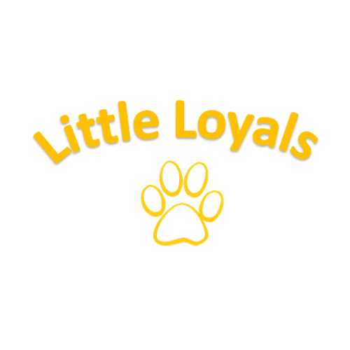 Little Loyals Premium Olive Wood Dog Chew - Image 3