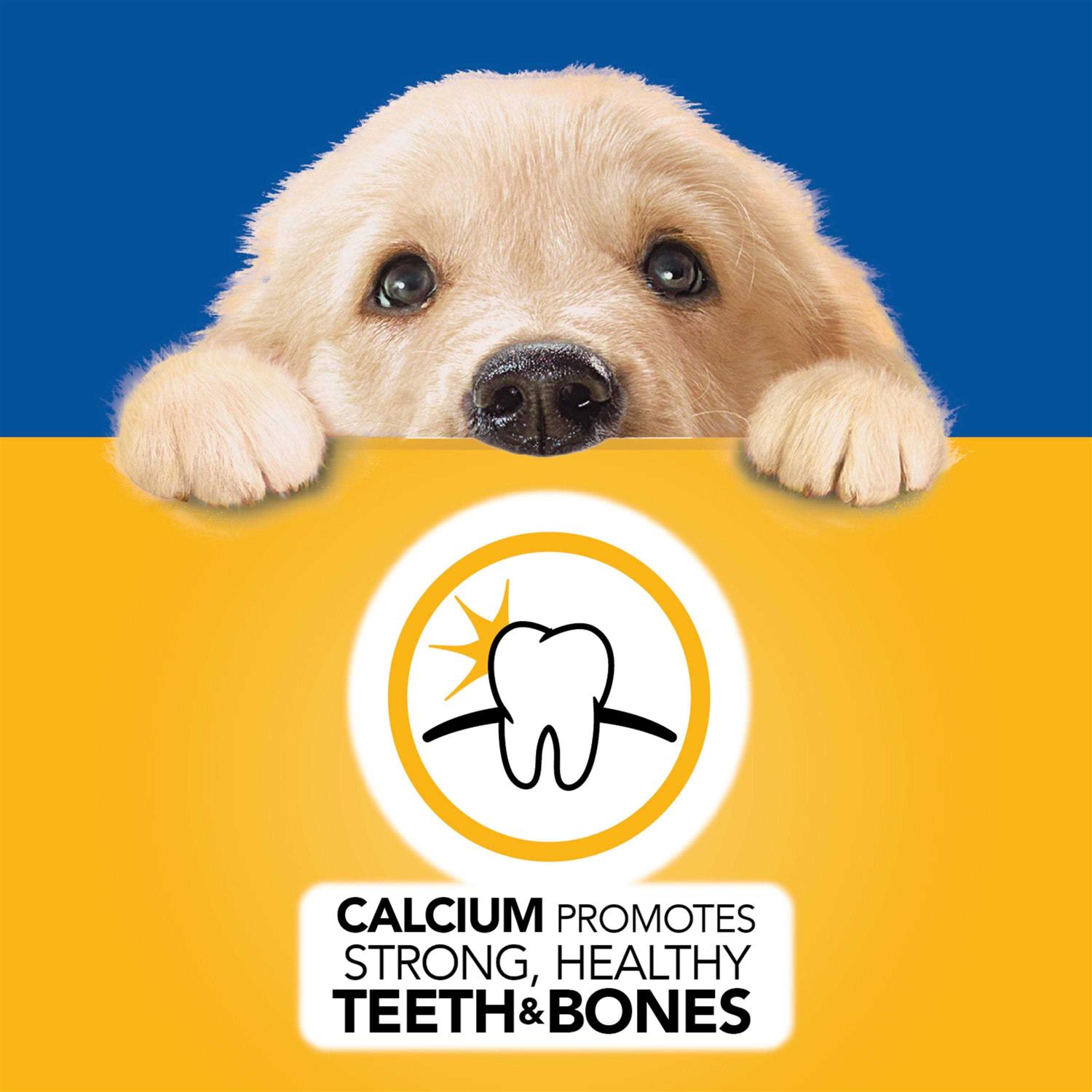 Pedigree Puppy Morsels in Sauce Chicken Wet Dog Food - Image 2