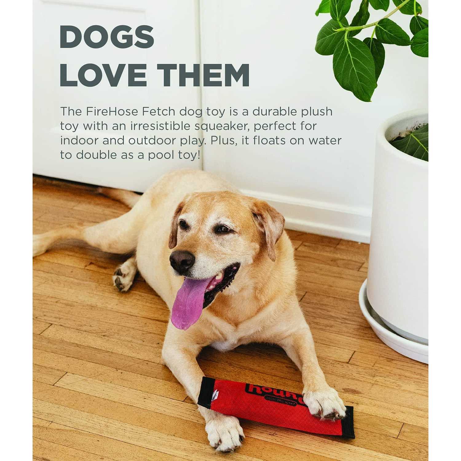 Outward Hound Fetch Dog Toy - Image 2