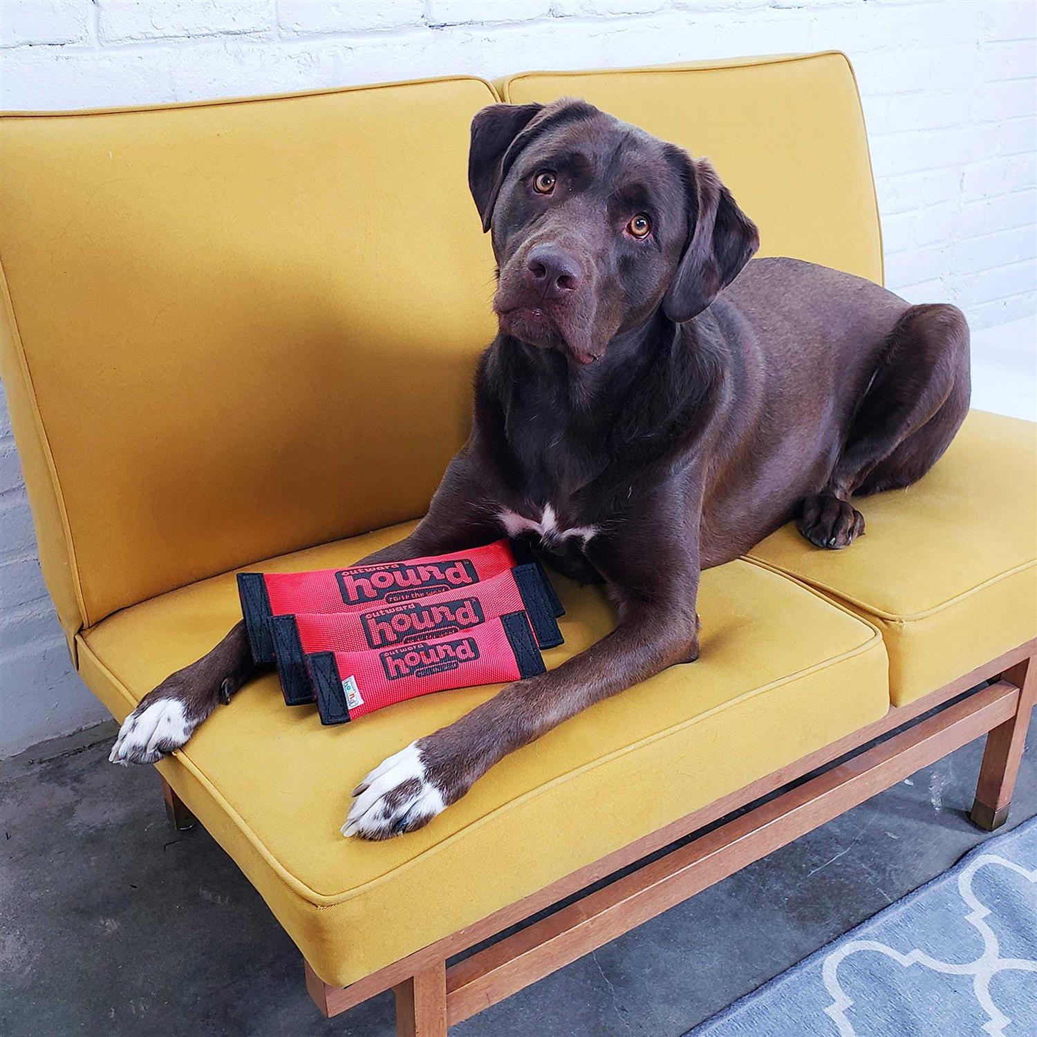 Outward Hound Fetch Dog Toy - Image 3