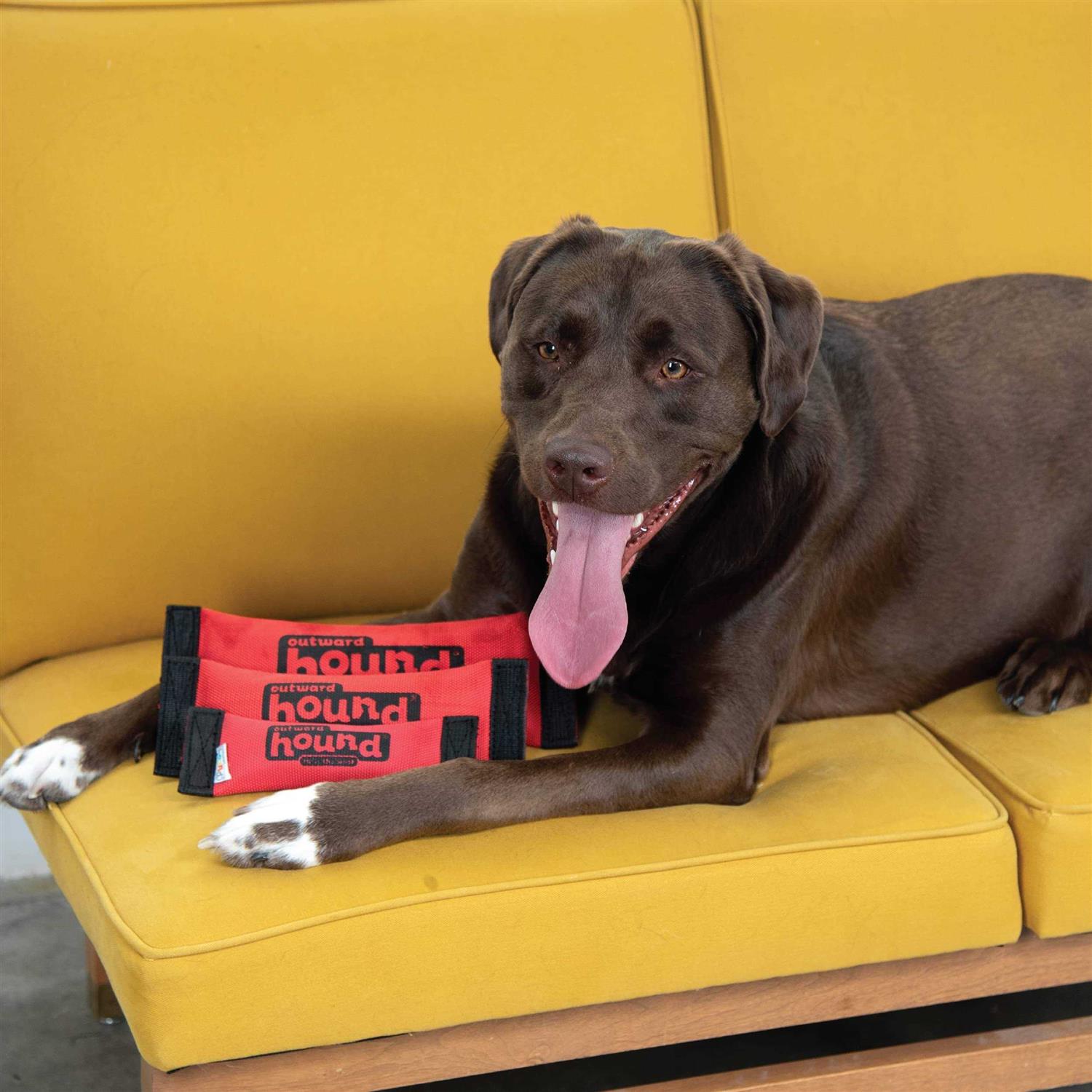 Outward Hound Fetch Dog Toy - Image 4