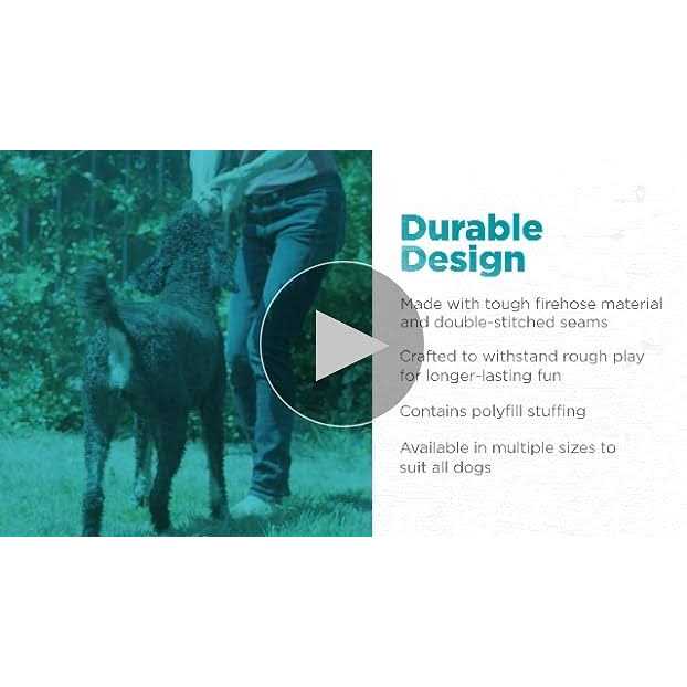 Outward Hound Fetch Dog Toy - Image 5