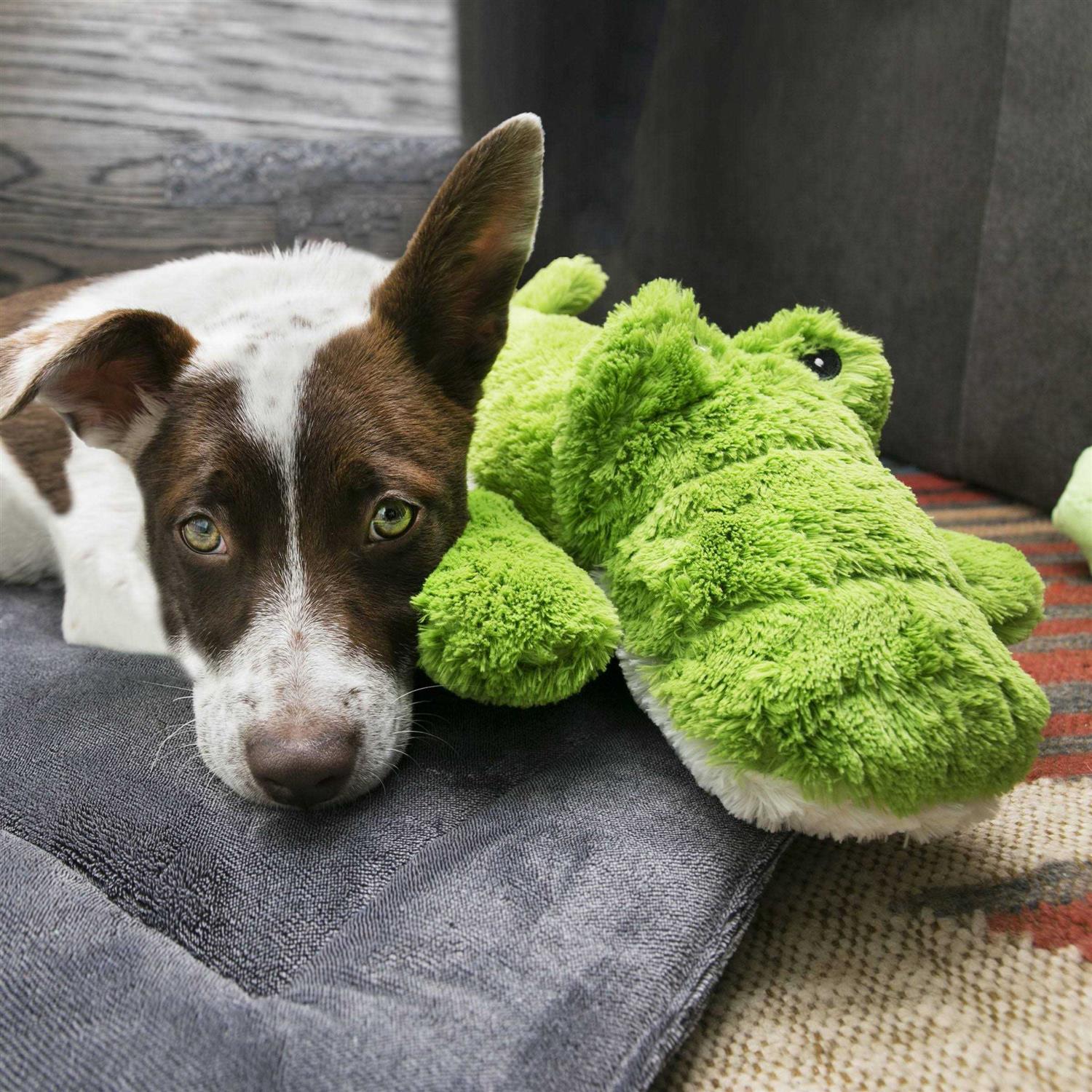 KONG Ali Alligator Cozie Dog Toy - Image 4