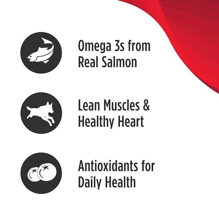 Nulo MedalSeries Adult Grain Free Salmon & Sweet Potato Dry Dog Food - Image 4