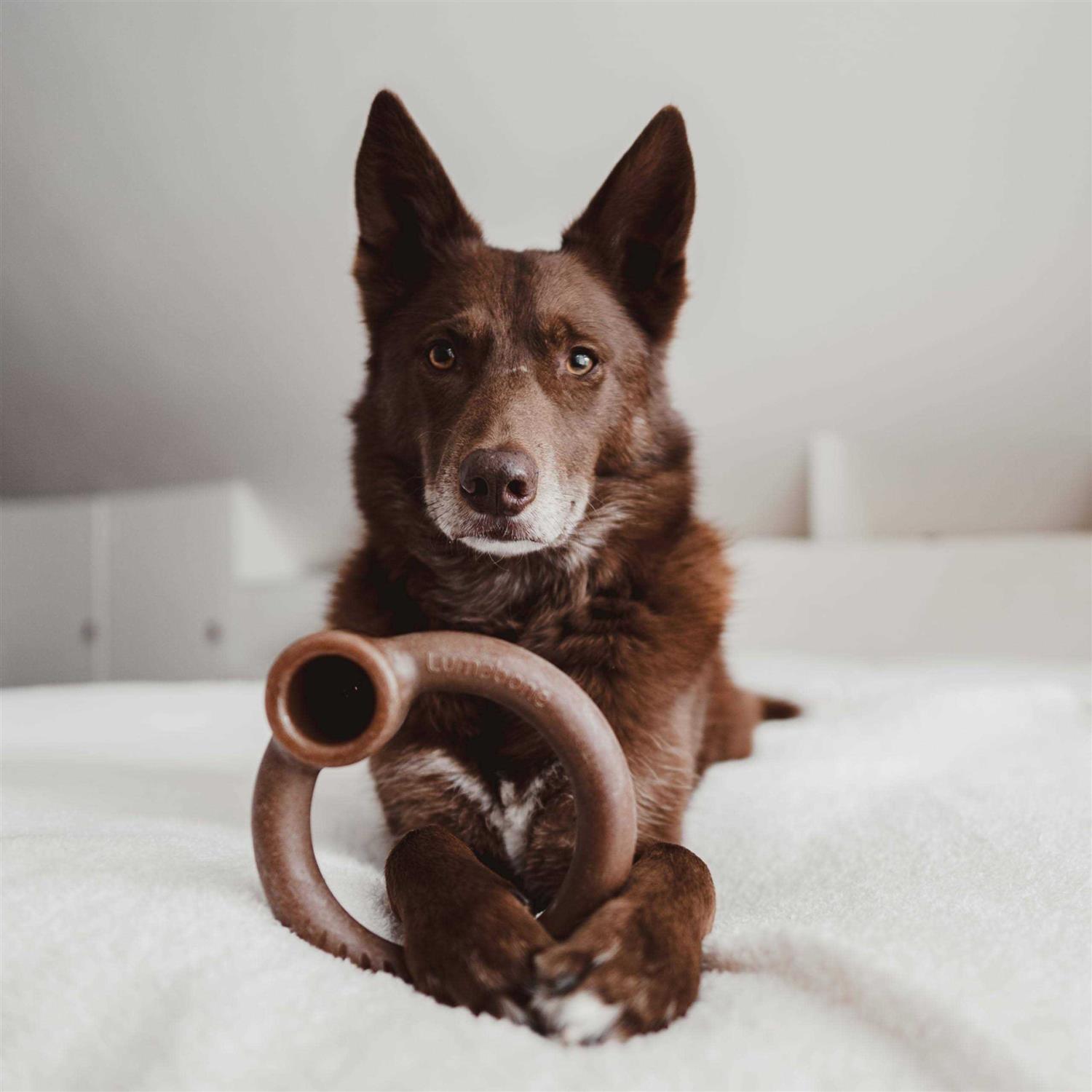 Lumabone Durable Dog Chew Toys - Image 5