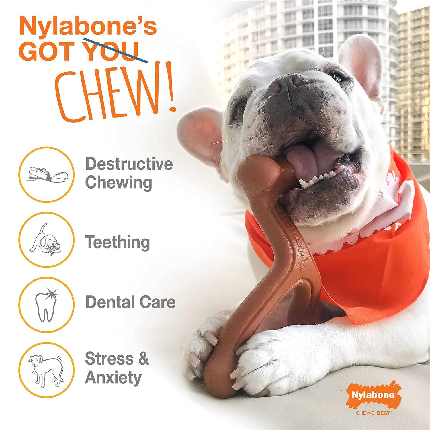Nylabone Power Chew Customer Favorites Dog Chew Toy Bundle Customer Favorites Bundle Variety - Image 4