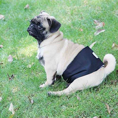 Wegreeco Washable Dog Diapers Washable Male Dog Belly Wrap - Image 5
