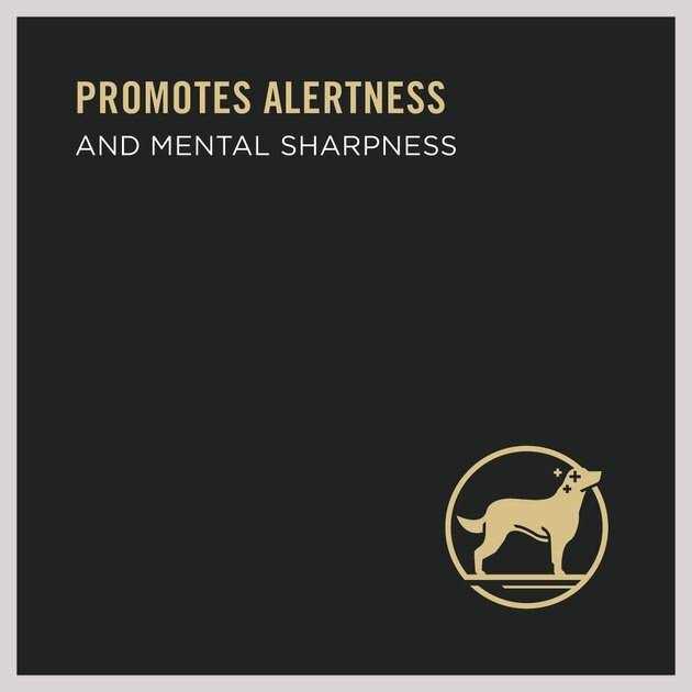 Purina Pro Plan Bright Mind Senior Adult 7+ Brown Rice Entree Wet Dog Food - Image 5