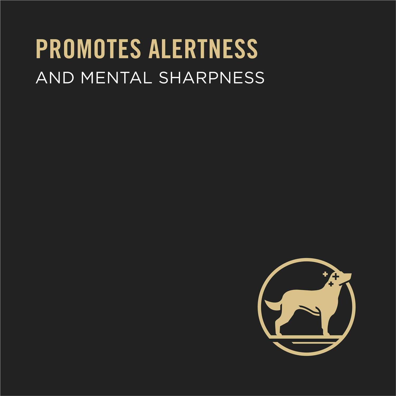 Purina Pro Plan Bright Mind Senior Adult 7+ Brown Rice Entree Wet Dog Food - Image 5