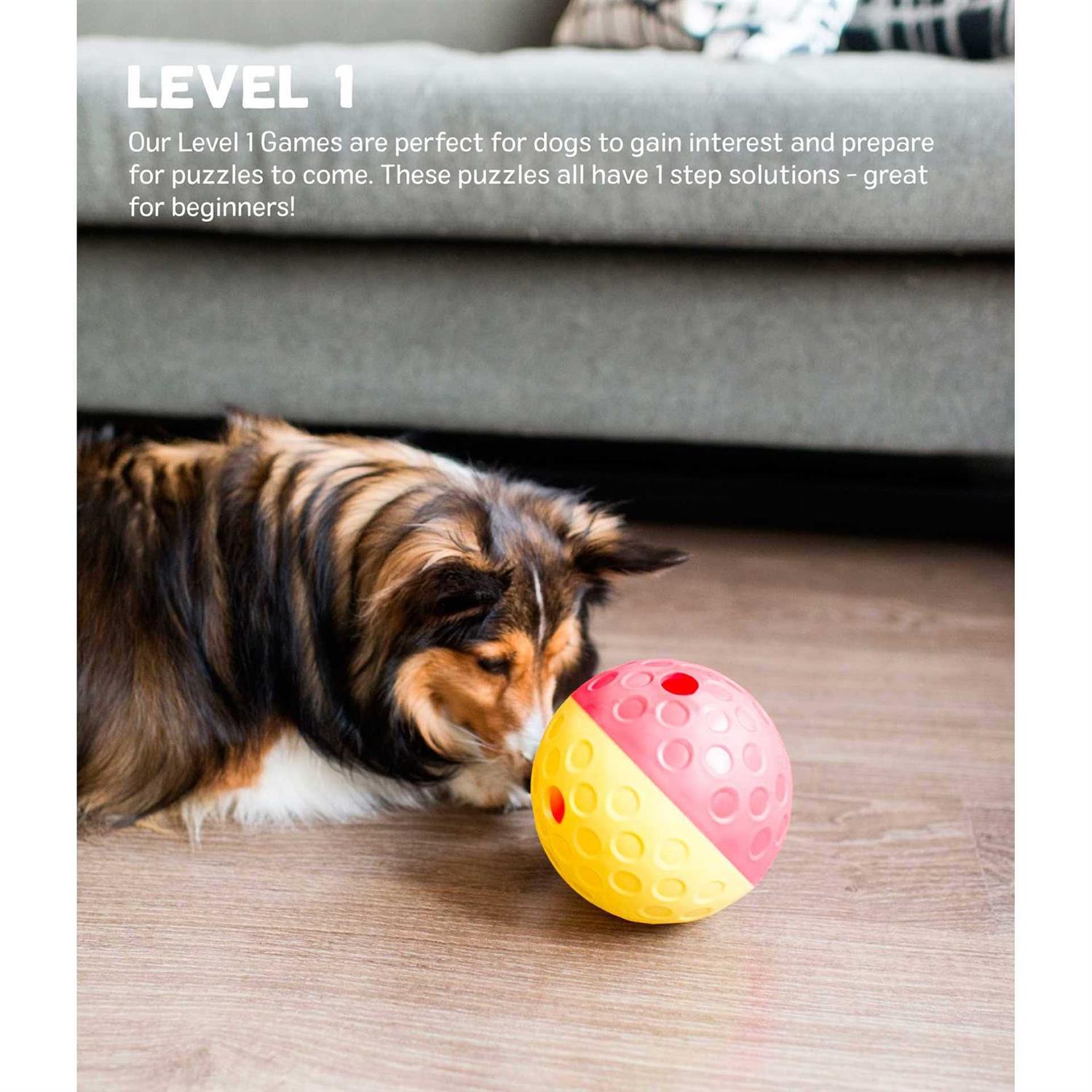 Nina Ottosson Treat Tumble Dog Toy - Image 3