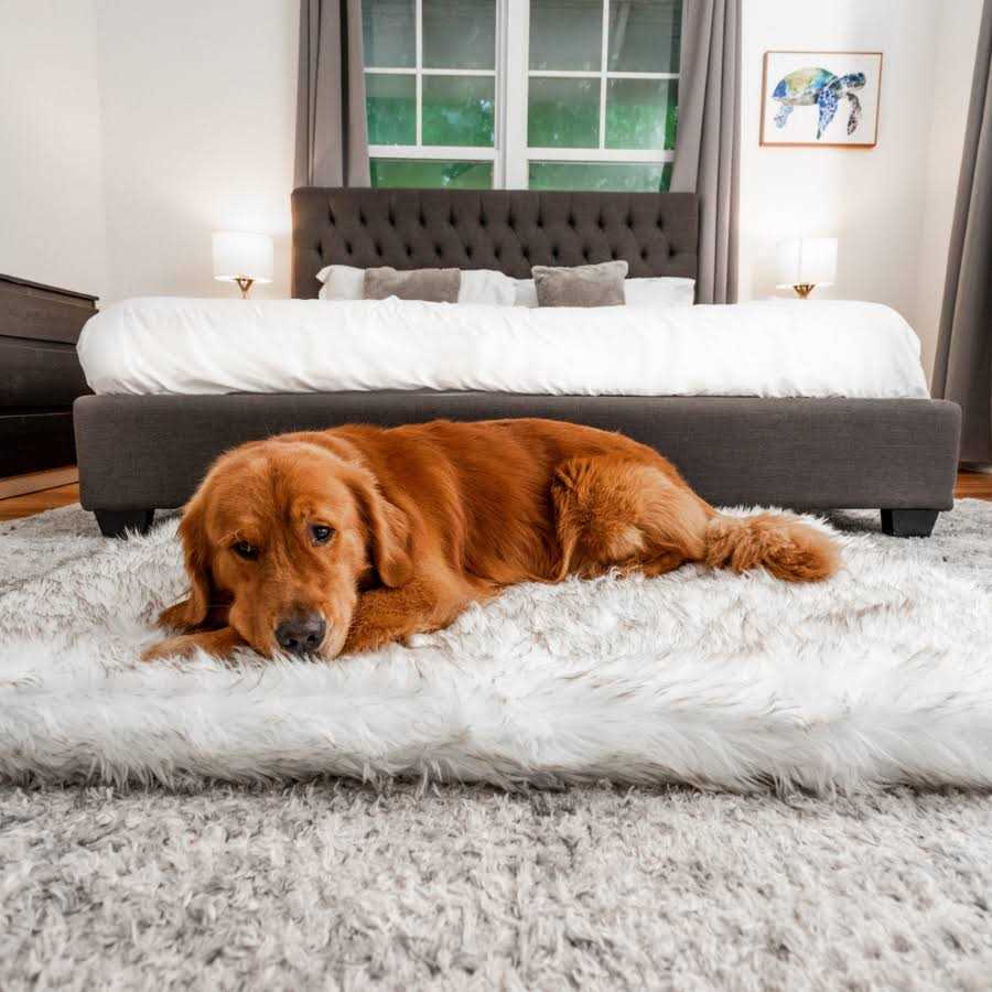 Paw Brands PupRug Faux Fur Orthopedic Dog Bed - Image 3
