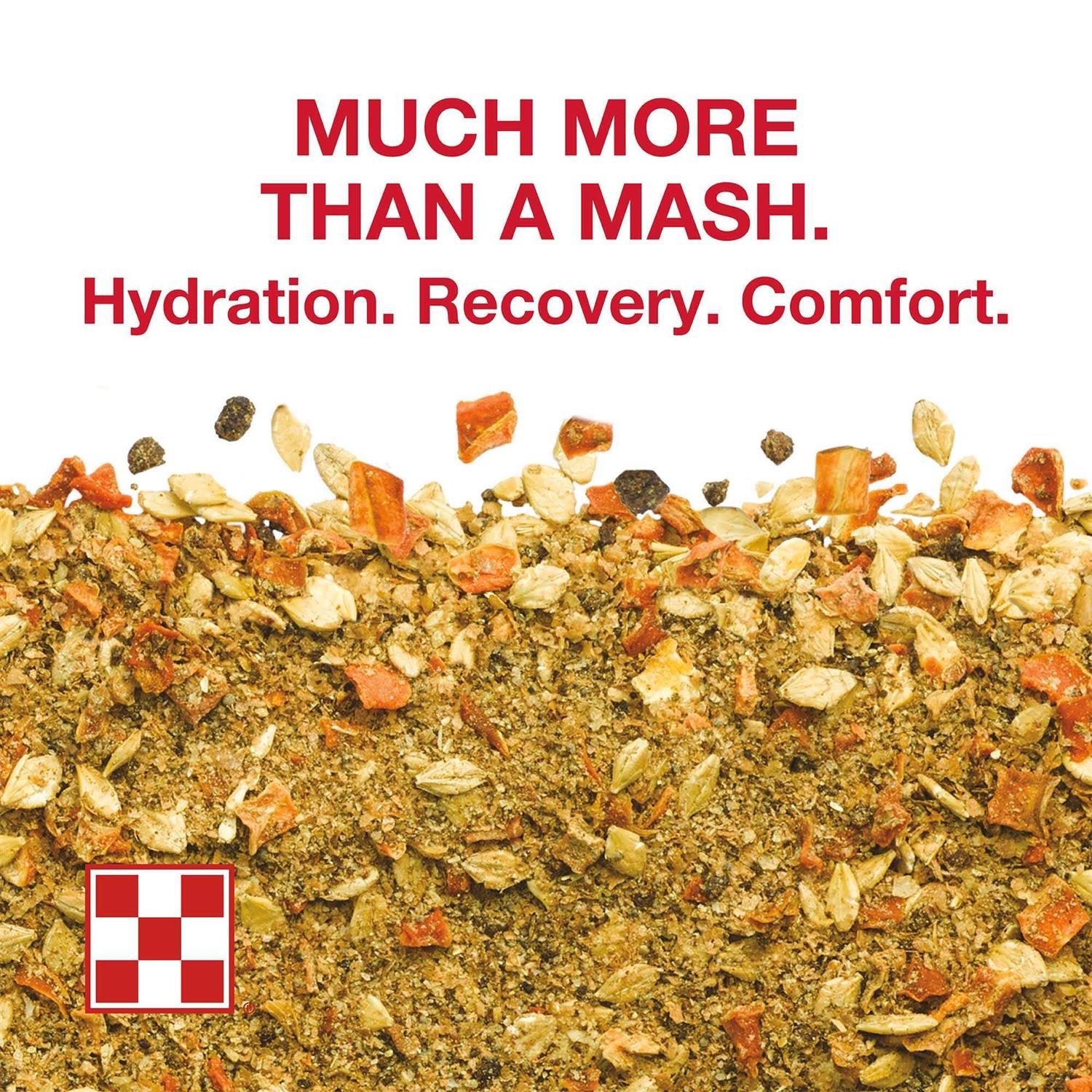 Purina RepleniMash Product - Image 4