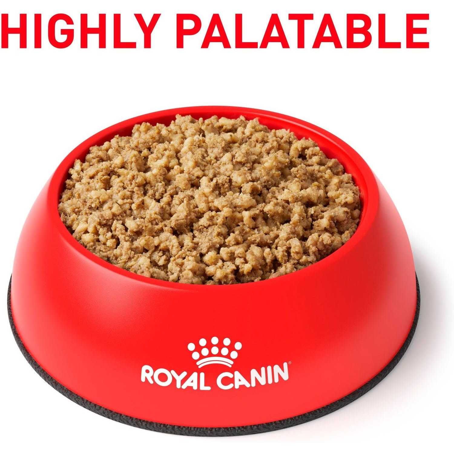 Royal Canin Veterinary Diet Canine Renal Support E Canned Dog Food - Image 3