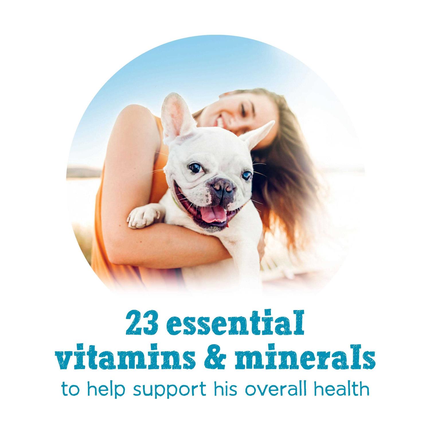 Purina Beneful IncrediBites Small Breed Wet Dog Food Variety Pack - Image 3