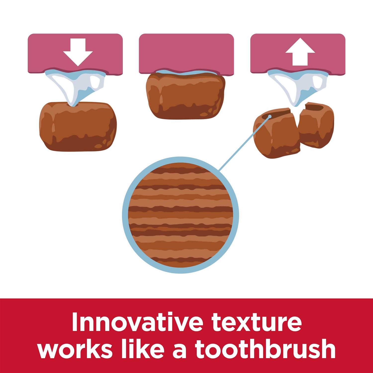 Hill's Science Diet Adult Oral Care Small & Mini Chicken Recipe Dry Dog Food - Image 3