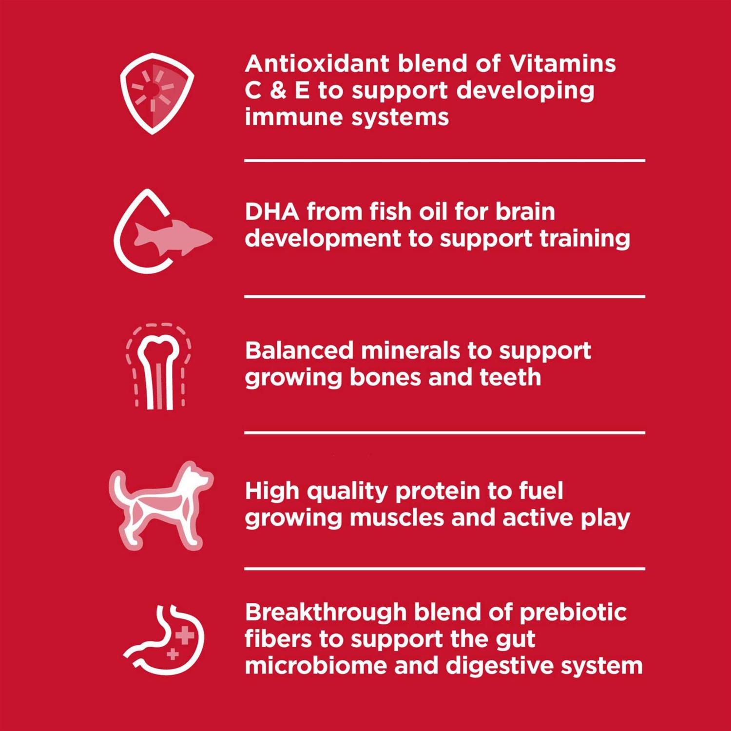 Hill's Science Diet Adult Oral Care Small & Mini Chicken Recipe Dry Dog Food - Image 3