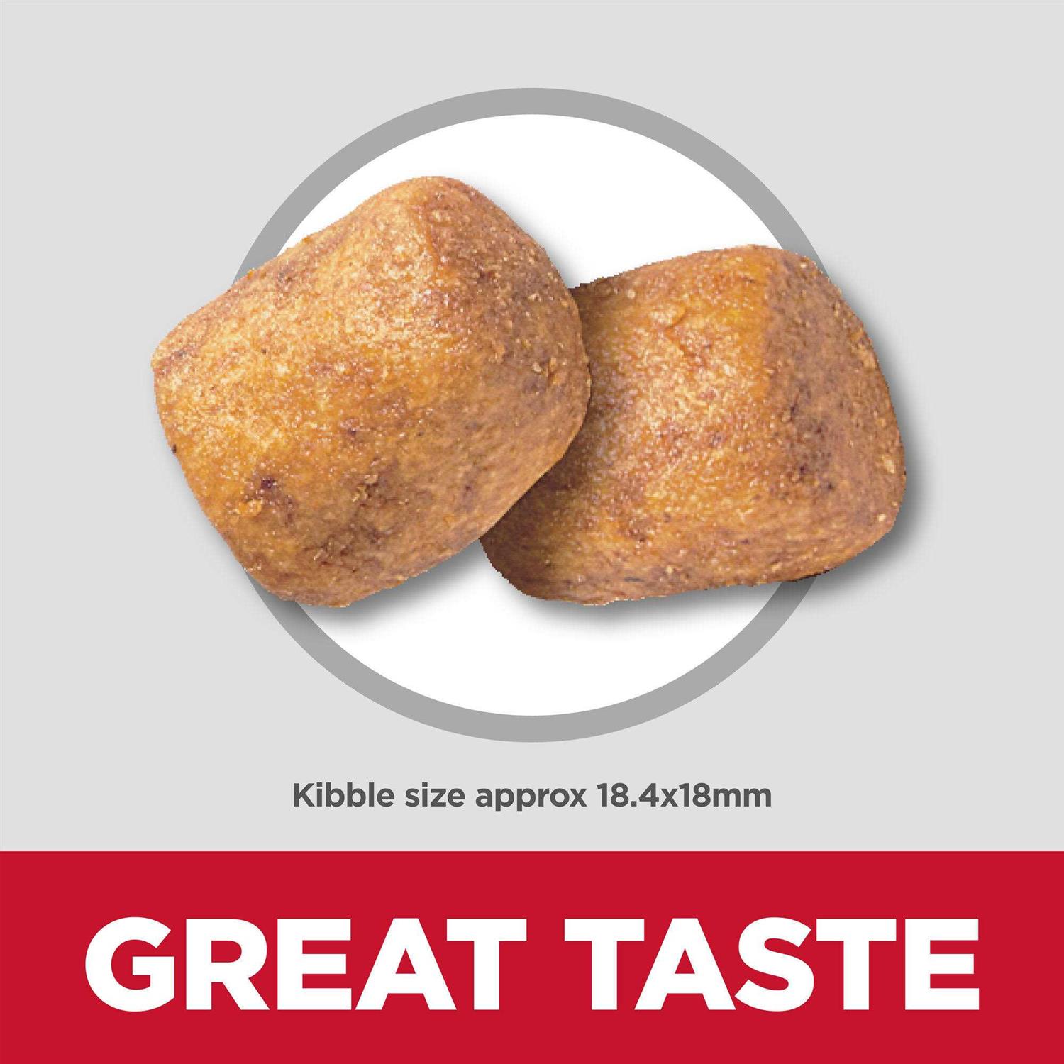 Hill's Science Diet Adult Oral Care Small & Mini Chicken Recipe Dry Dog Food - Image 5