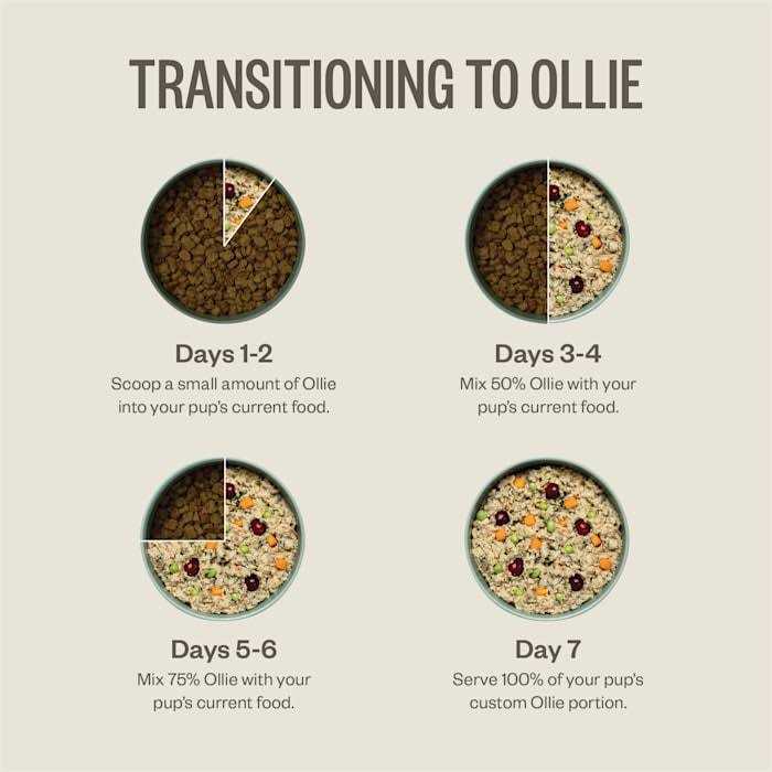 Ollie Fresh Turkey Dish with Blueberries Frozen Dog Food - Image 3