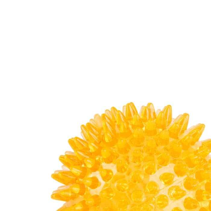 Leaps & Bounds Spiny Ball Dog Chew Toy - Image 3