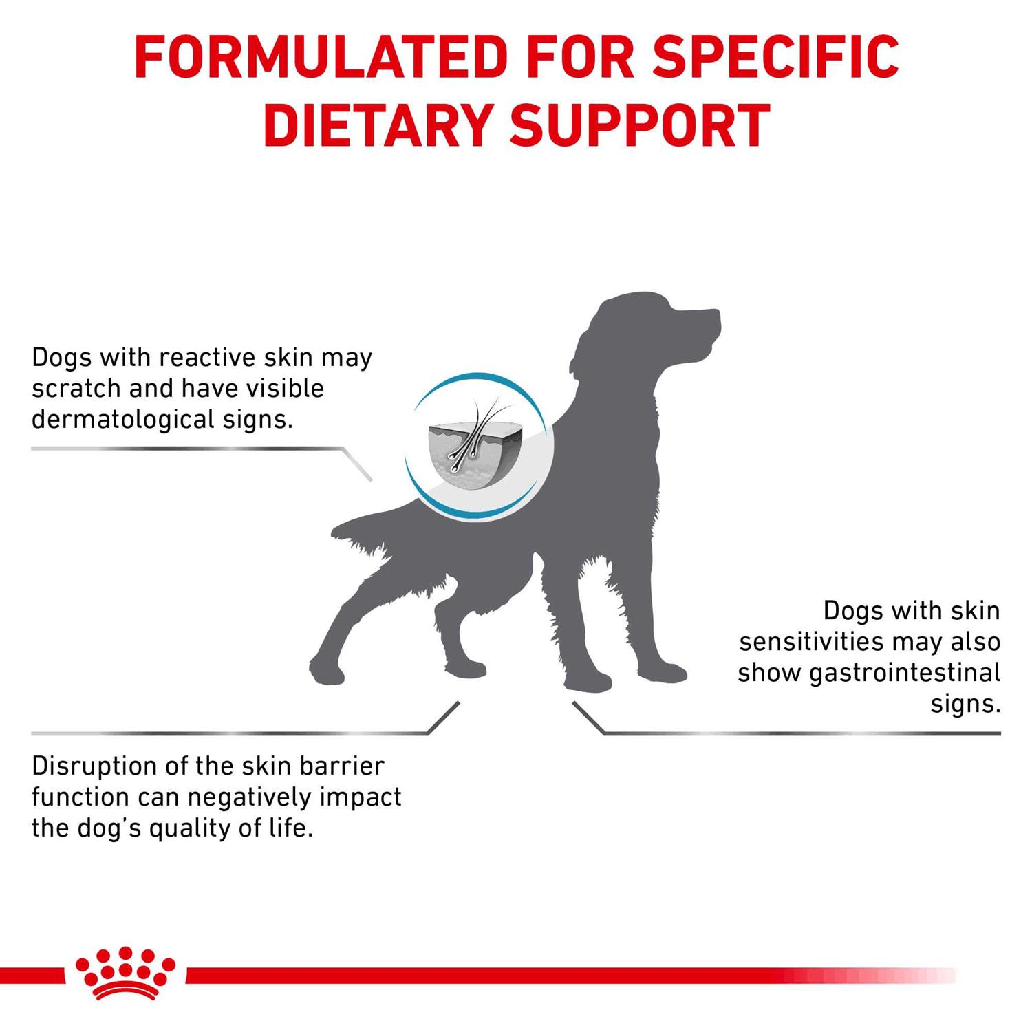 Royal Canin Veterinary Diet Skin Support Dry Dog Food - Image 2