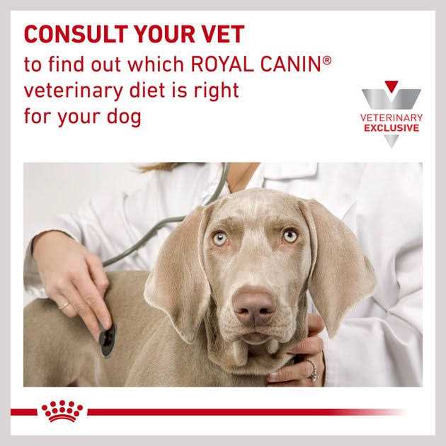 Royal Canin Veterinary Diet Skin Support Dry Dog Food - Image 3