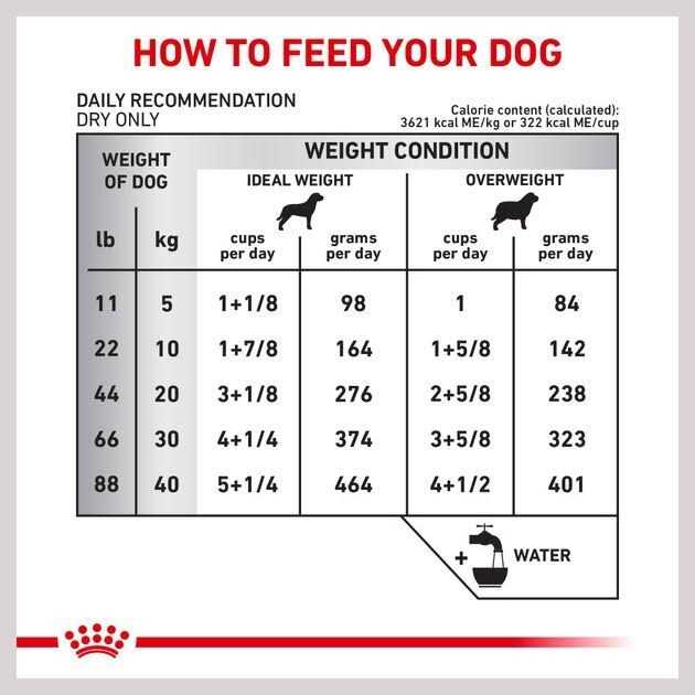 Royal Canin Veterinary Diet Skin Support Dry Dog Food - Image 5