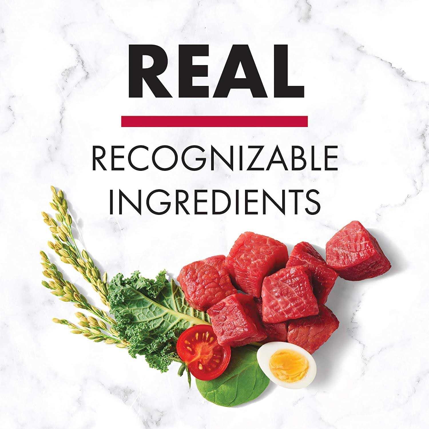 Nutro Natural Choice Adult Beef Rice Dry Dog Food - Image 4