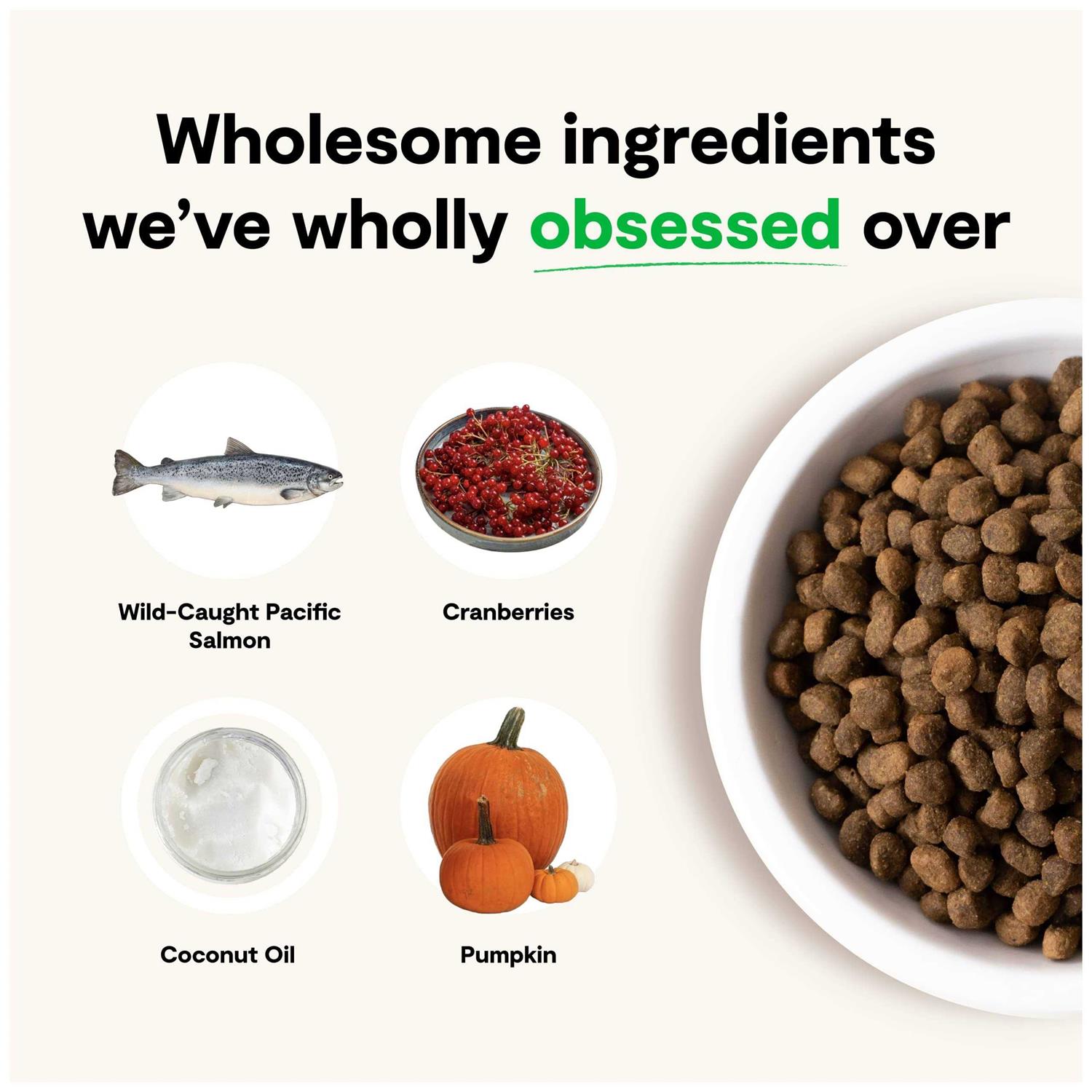 Open Farm Grain-Free Wild-Caught Salmon Dry Dog Food - Image 5