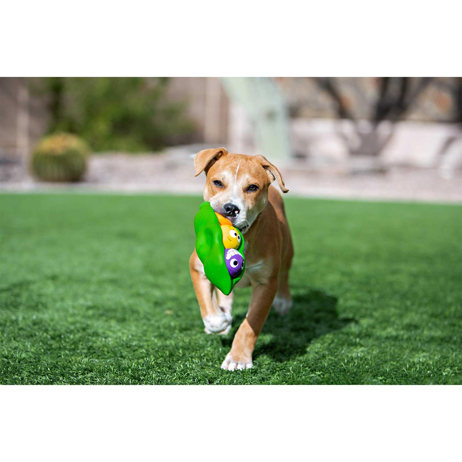 Multipet Three Peas in a Pod Dog Toy - Image 3