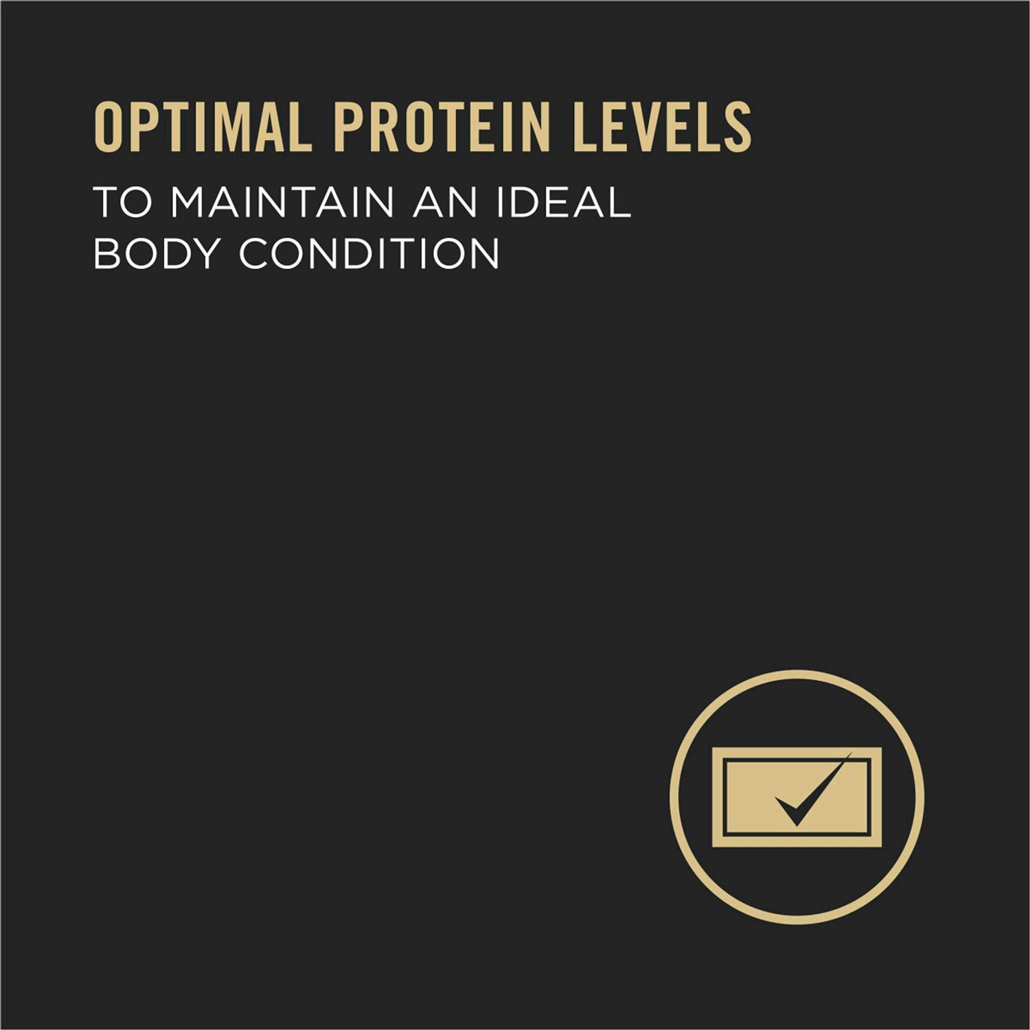 Purina Pro Plan High Protein Wet Dog Food - Image 4